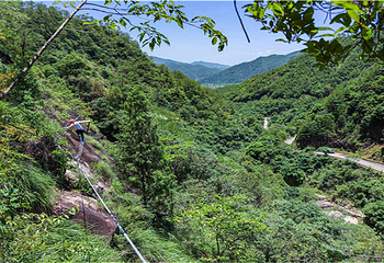 云灵山第 35 张图片
