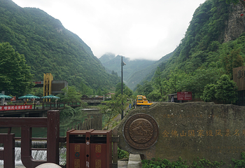 金佛山第 5 张图片