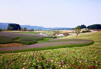 横山花仙谷第 14 张图片