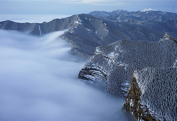 宁夏贺兰山国家森林公园第 12 张图片