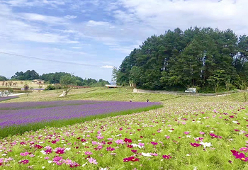 横山花仙谷第 10 张图片