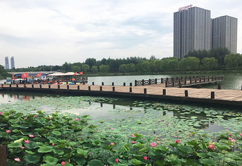 皮划艇训练基地第 3 张图片