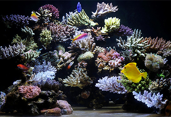 汕头海门莲花峰海洋文化馆第 5 张图片