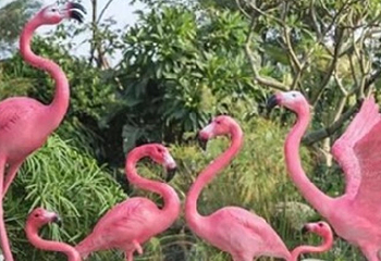 2019珍珠泉玫瑰采摘节第 14 张图片