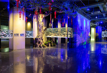 汕头海门莲花峰海洋文化馆第 9 张图片