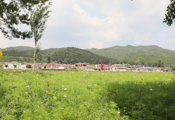 2019珍珠泉玫瑰采摘节第 26 张图片