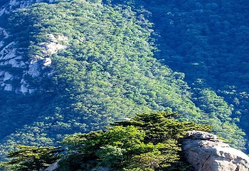 云蒙山风景区第 16 张图片