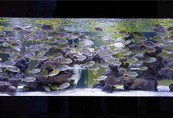 汕头海门莲花峰海洋文化馆第 11 张图片