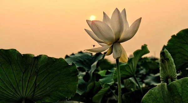 云水湾湿地公园