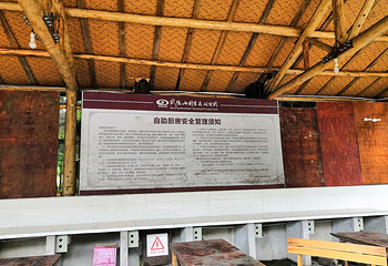 武陵山国家森林公园第 7 张图片