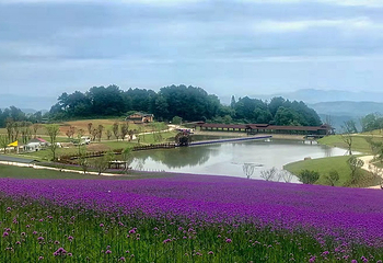 横山花仙谷第 18 张图片