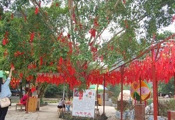 2019珍珠泉玫瑰采摘节第 25 张图片