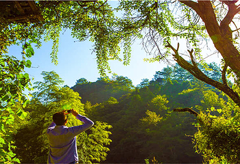 天成奇峡第 5 张图片