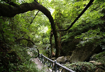 武当山南神道旅游区第 5 张图片