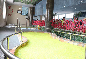 兴芮温泉度假区第 16 张图片
