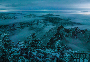 宁夏贺兰山国家森林公园第 24 张图片