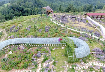 八台山恐龙世界第 23 张图片