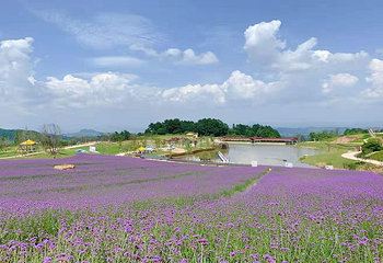 横山花仙谷第 26 张图片