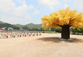 2019珍珠泉玫瑰采摘节第 22 张图片