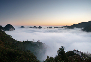 油杉河景区第 8 张图片