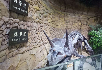 深海恐龙第 10 张图片