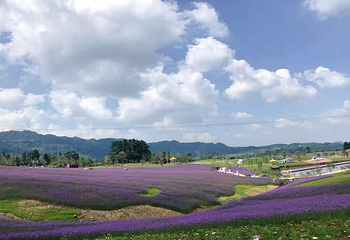 横山花仙谷第 2 张图片