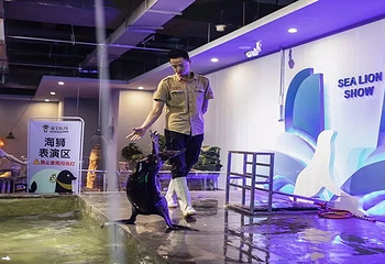 萌宝牧场第 2 张图片