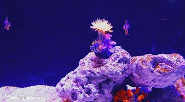 浔龙河甜甜湾室内动物城