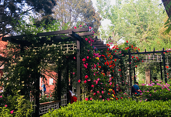 北京师范大学第 3 张图片