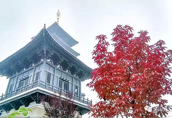 大云寺•王母宫第 21 张图片