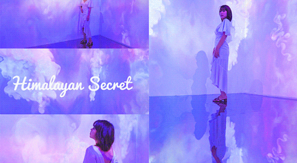 北京《原始代码》数字沉浸式艺术展