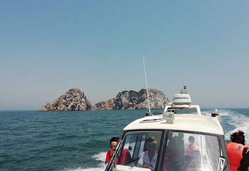 金石滩海钓喂海鸥第 8 张图片