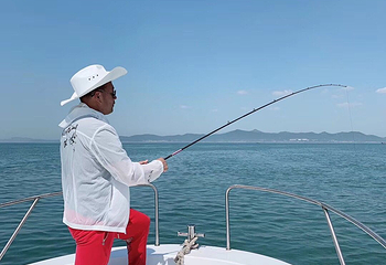 金石滩海钓喂海鸥第 4 张图片