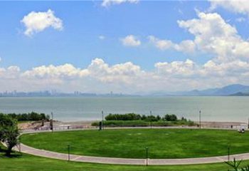 深圳湾公园第 2 张图片