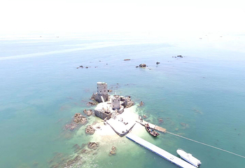 金石滩海钓喂海鸥第 10 张图片