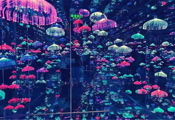彼岸星空失恋博物馆第 8 张图片