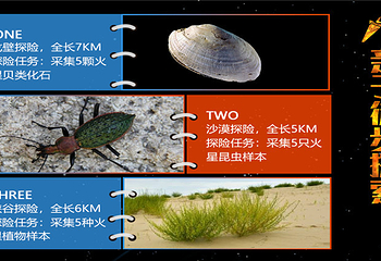 天马行空戈壁火星节第 4 张图片