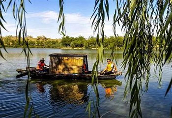 军燕沙漠生态旅游景区第 5 张图片