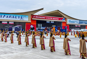 四川国际航空航天展览会第 11 张图片