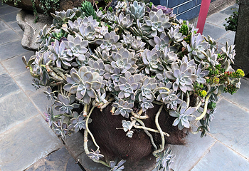 苍山第 3 张图片