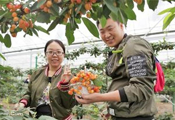 菊园百果园第 2 张图片