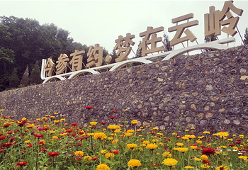云岭野山参风景区第 18 张图片