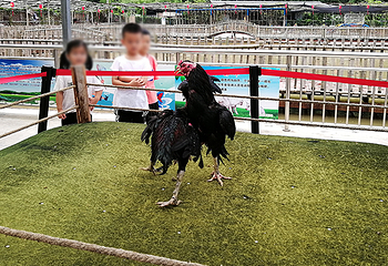 董邦农耕文化园第 8 张图片