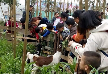峨眉月南花乡第 21 张图片