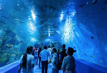 西宁新华联童梦乐园综合旅游度假区第 15 张图片
