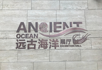 滨海新区第 12 张图片