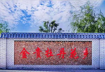 金贵牡丹花乡第 8 张图片