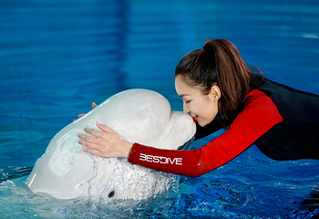 三亚亚特兰蒂斯失落的空间水族馆第 24 张图片