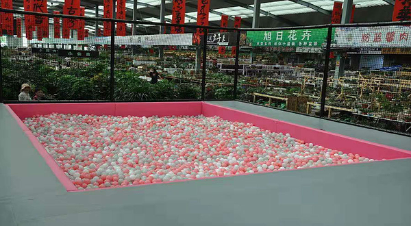 锦州冠军蹦床滑雪主题公园