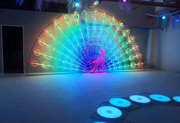 大理LJ互动光影展第 1 张图片